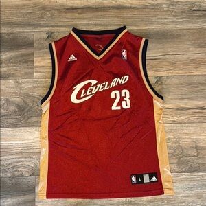 James Adidas Cleveland Cavaliers Red and Gold Jersey Youth